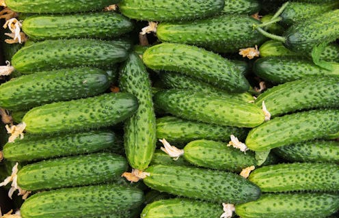 cucumbers, vegetables 