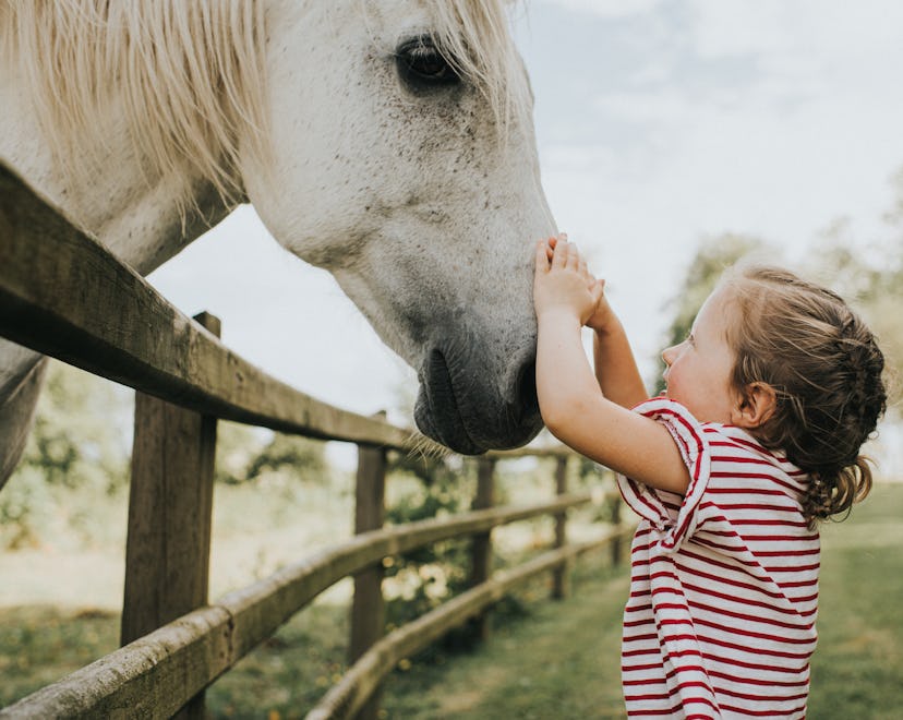 If your kid loves horses, these 19 holiday gifts are sure to impress.