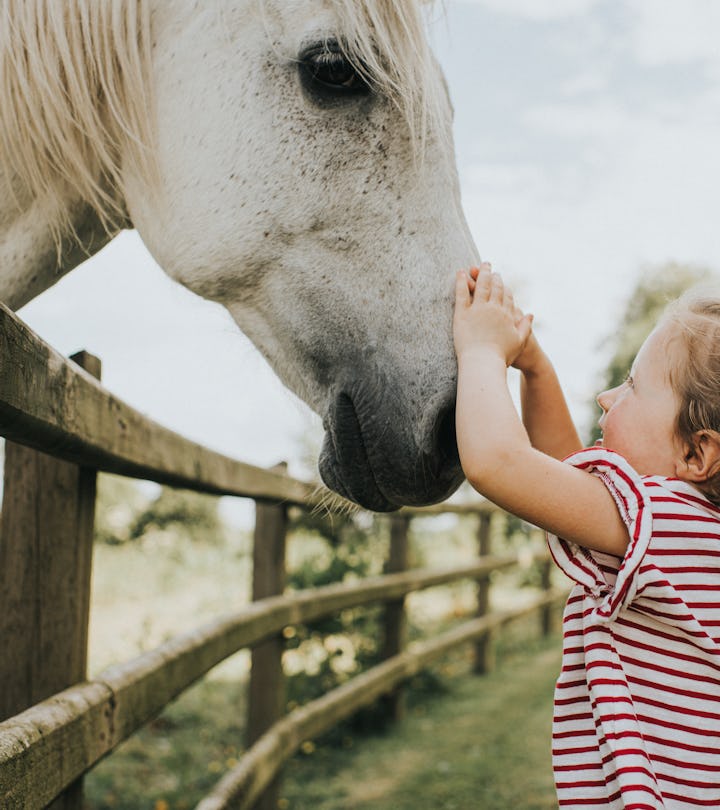 If your kid loves horses, these 19 holiday gifts are sure to impress.