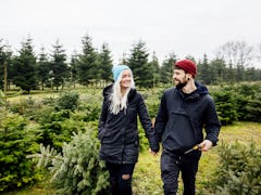 A young couple holds hands while walking through a Christmas tree farm.