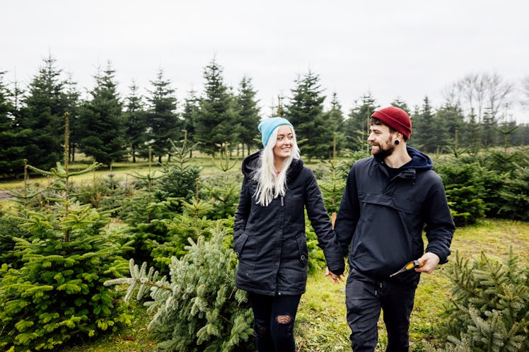 A young couple holds hands while walking through a Christmas tree farm.
