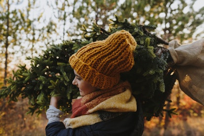 A young woman carries a Christmas tree on her shoulder through a tree farm.