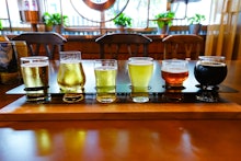6 glasses of beer brewed from recycled wastewater