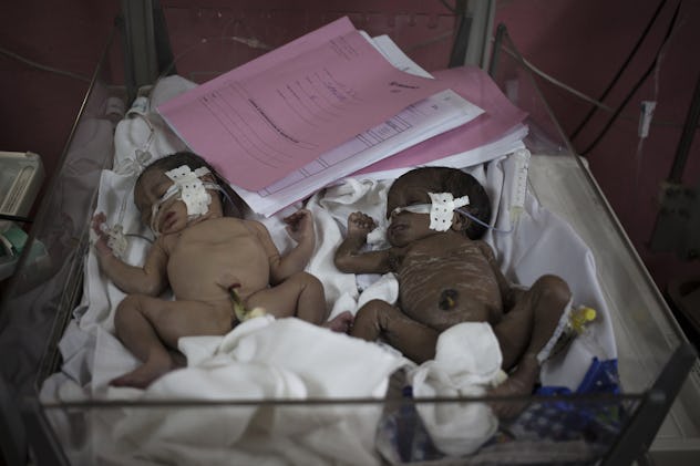 two premature twin infants