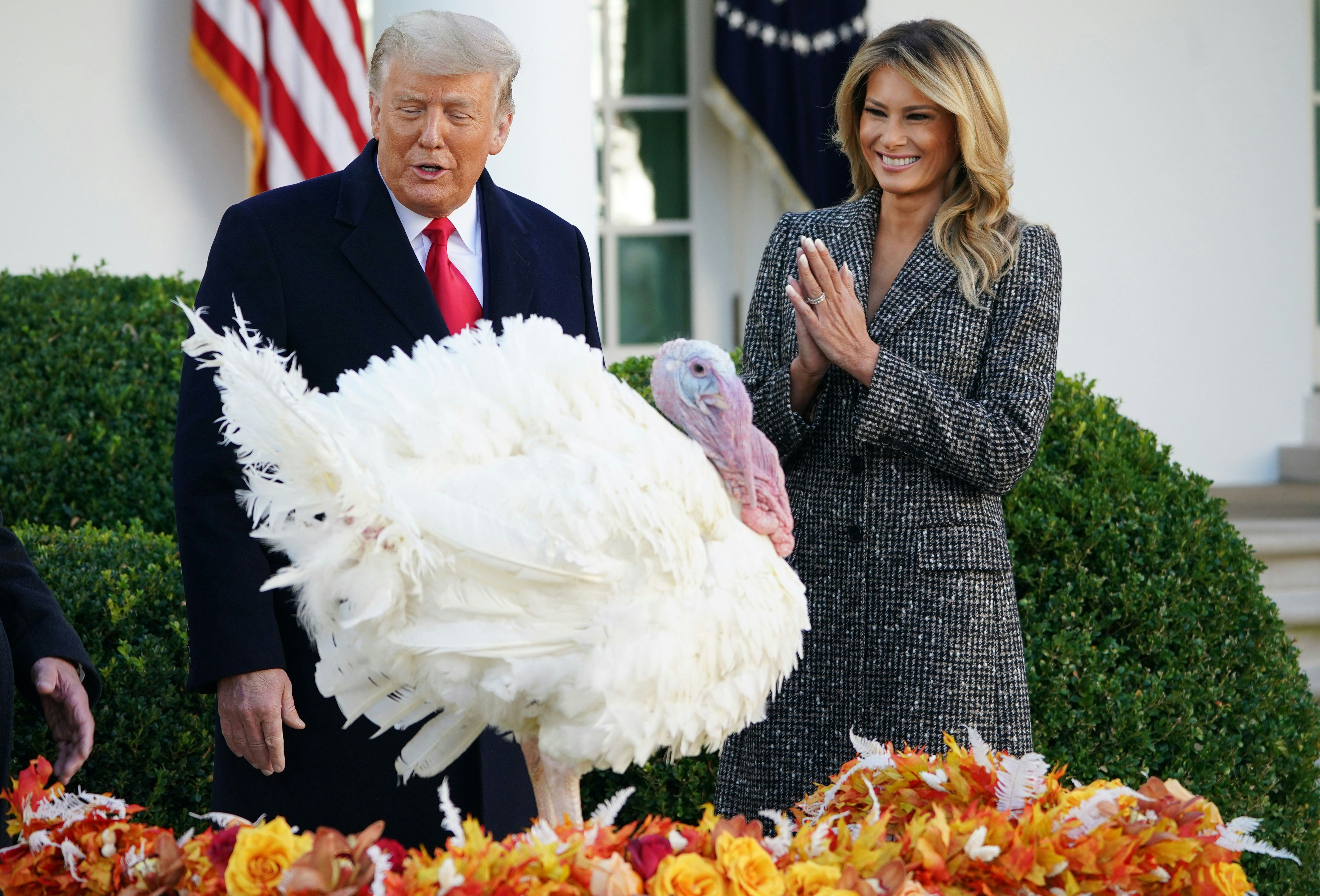 Why Does The President Pardon A Turkey?