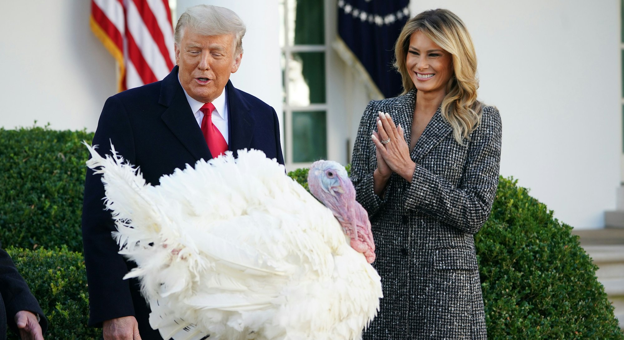 President Trump's 2020 turkey pardon