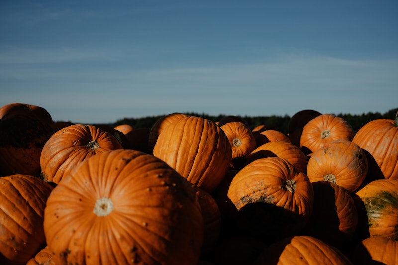 pumpkins, autumn