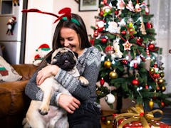 A happy woman hugs her pug dog at home in front of the Christmas tree and presents. 