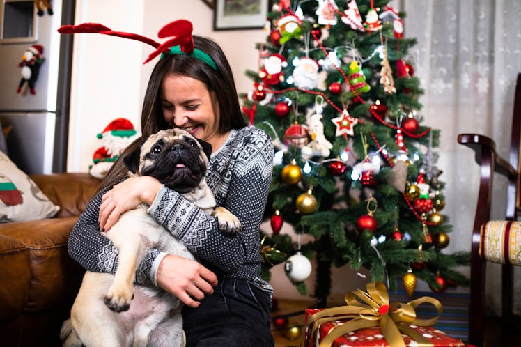 A happy woman hugs her pug dog at home in front of the Christmas tree and presents.