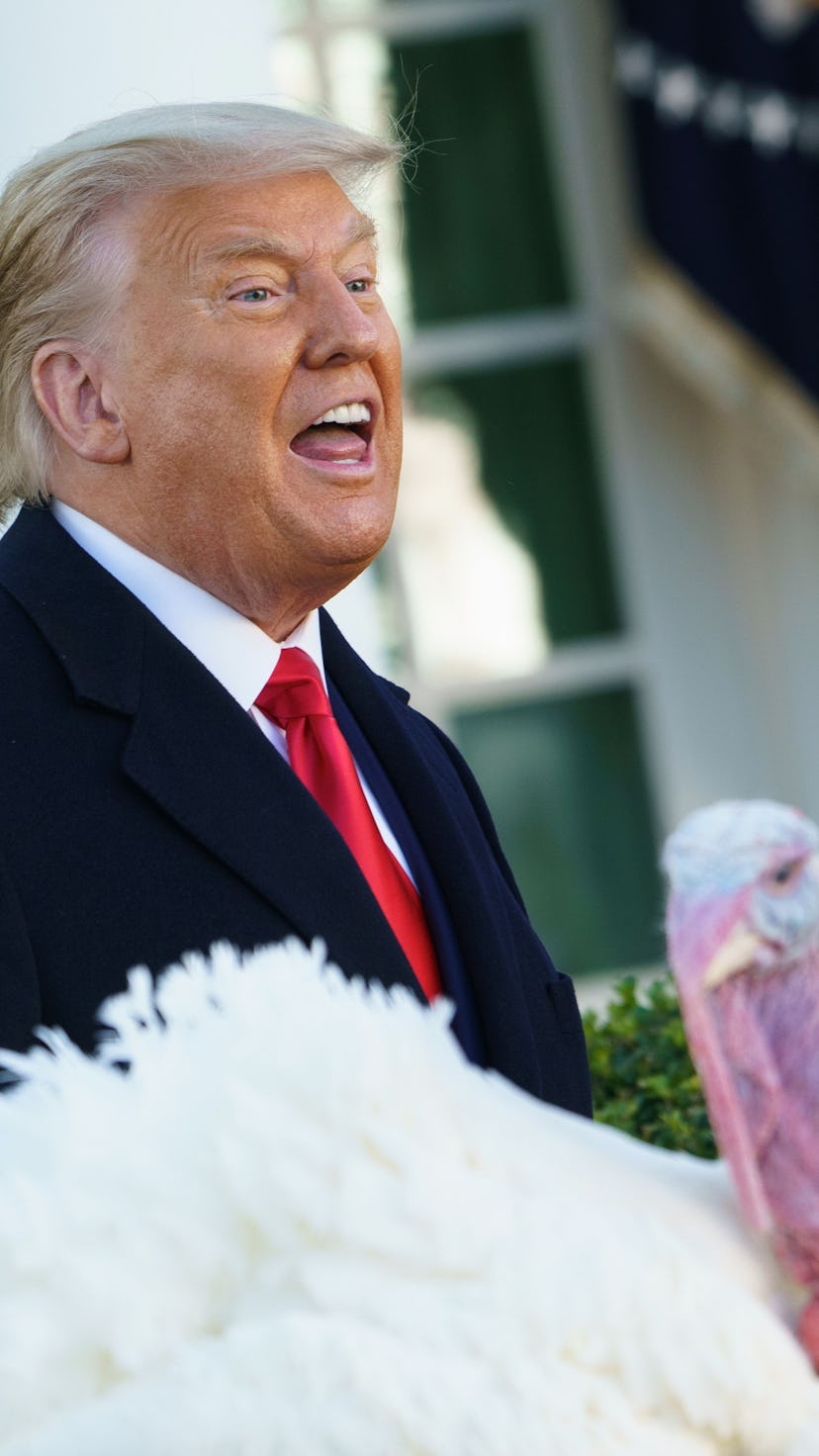Donald Trump pardoning a turkey