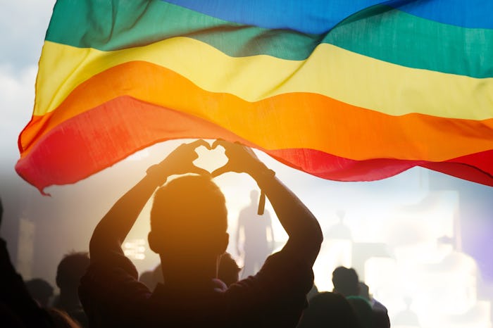 In states across the country, the 2020 election brought historic LGBTQ wins well worth celebrating.