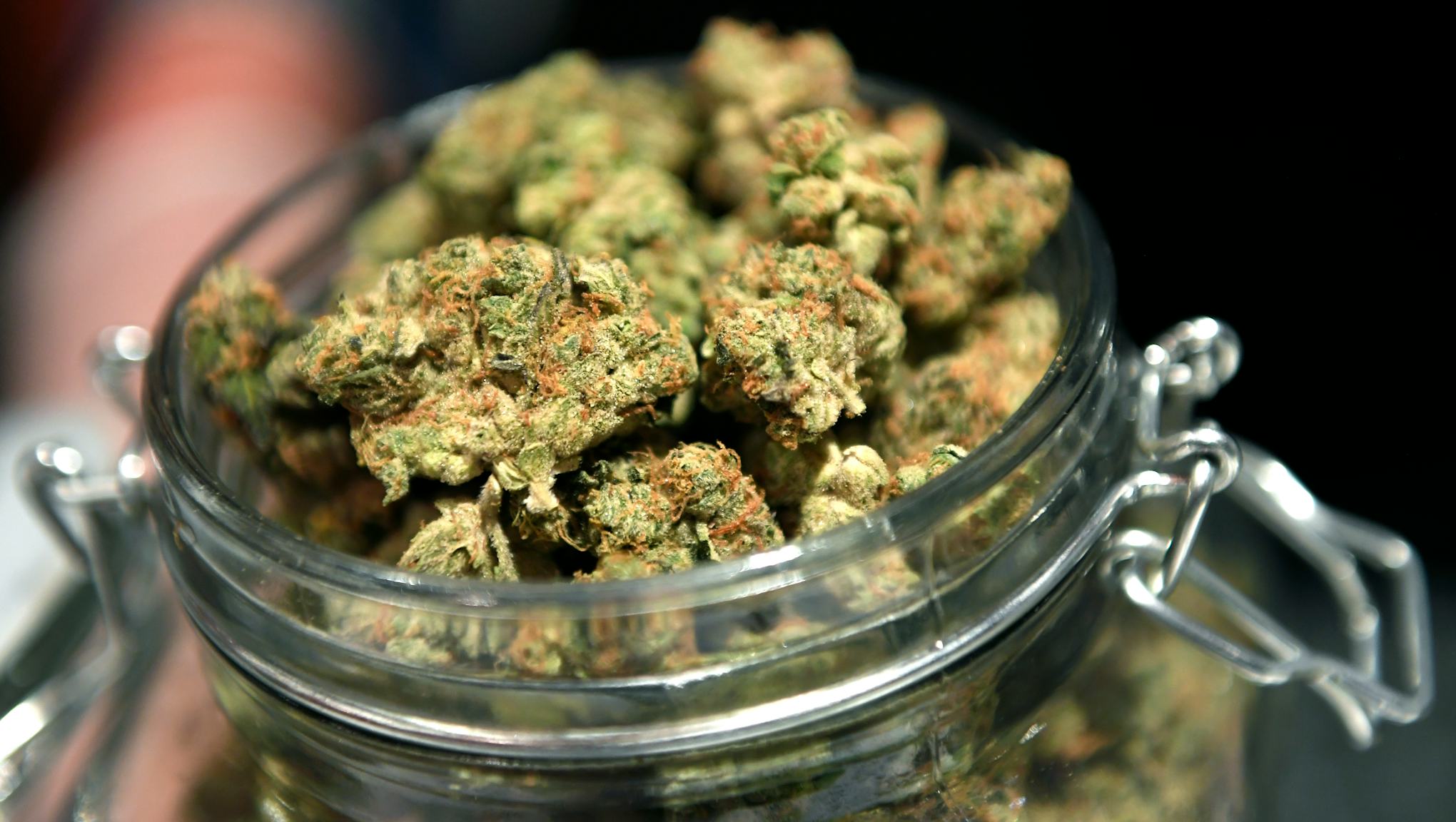 When can I buy weed in a state that just legalized it? When can I buy weed in a state that just legalized it?