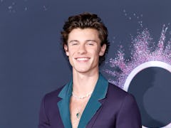 Shawn Mendes hits the red carpet at the American Music Awards.