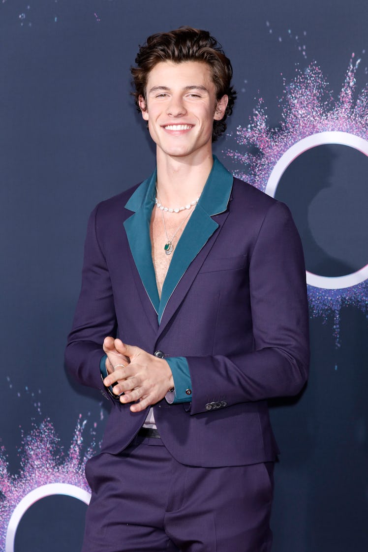 Shawn Mendes hits the red carpet at the American Music Awards.