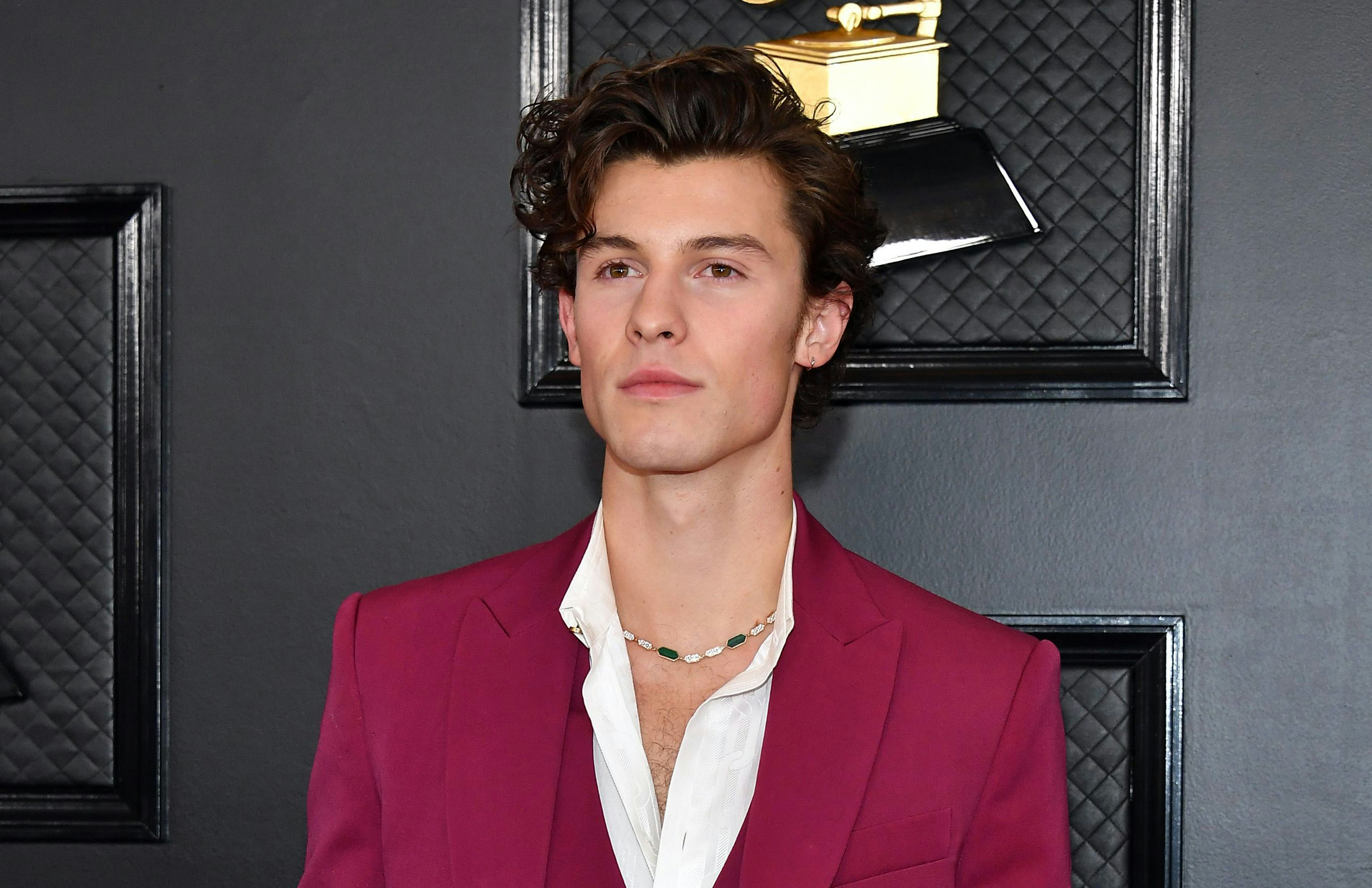 Shawn Mendes' Response To Sexuality Rumors: "I Really Suffered"