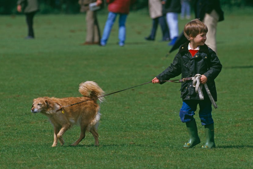 Prince William loves dogs in 1987.