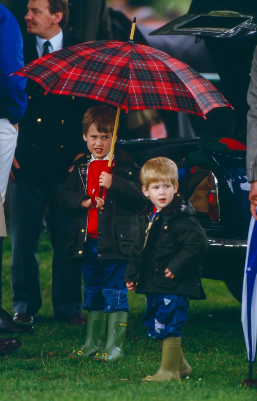 Prince William and Prince Harry in Cirencester in 1987.