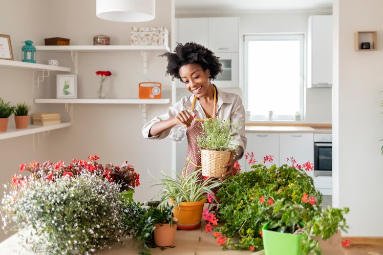 A crafty woman enjoys herself by potting some plants.