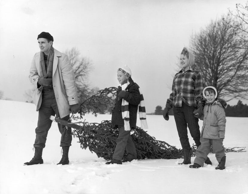 This vintage Christmas photo shows a family taking home their fresh cut tree.