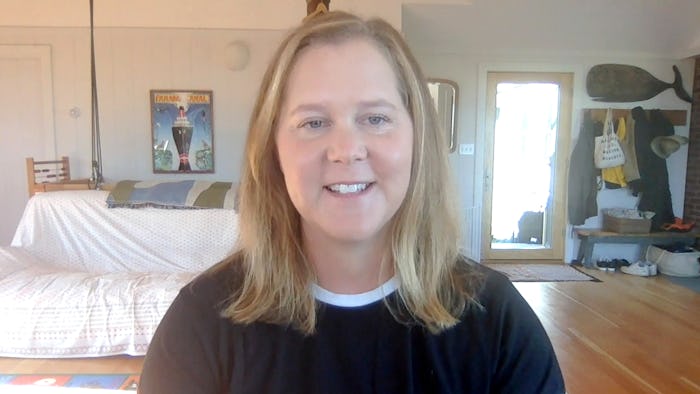 Amy Schumer shared her Christmas card.