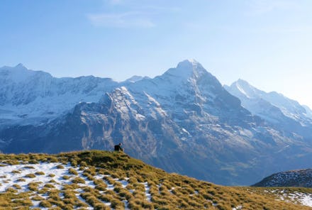 A view of the still growing Swiss Alps
