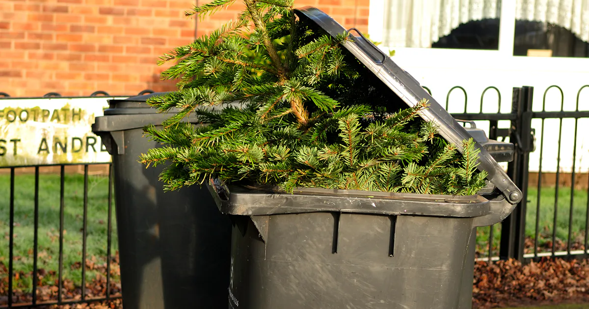 When Do You Take Down Christmas Tree