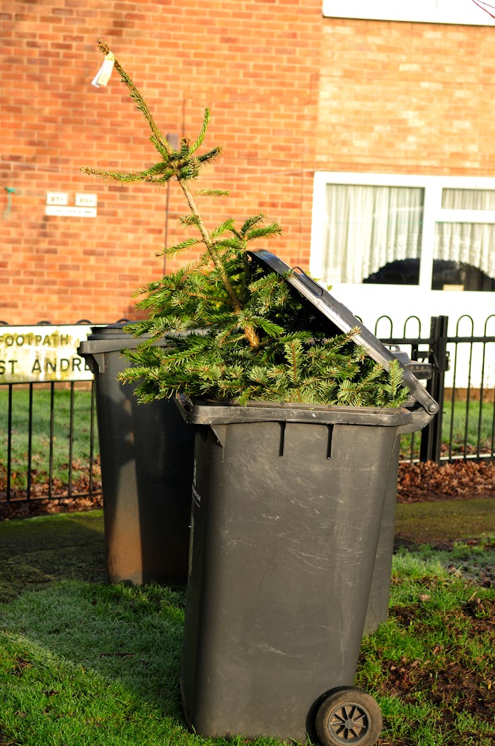 christmas tree in trash