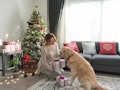 A woman gifts her dog some Christmas presents, as they sit in front of the tree and she shows her go...