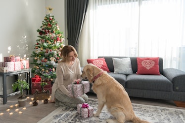 A woman gifts her dog some Christmas presents, as they sit in front of the tree and she shows her go...
