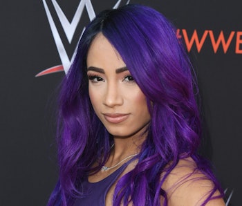 Mandalorian Season 2 Spoilers Sasha Banks Rumors Tease Links To Cara Dune