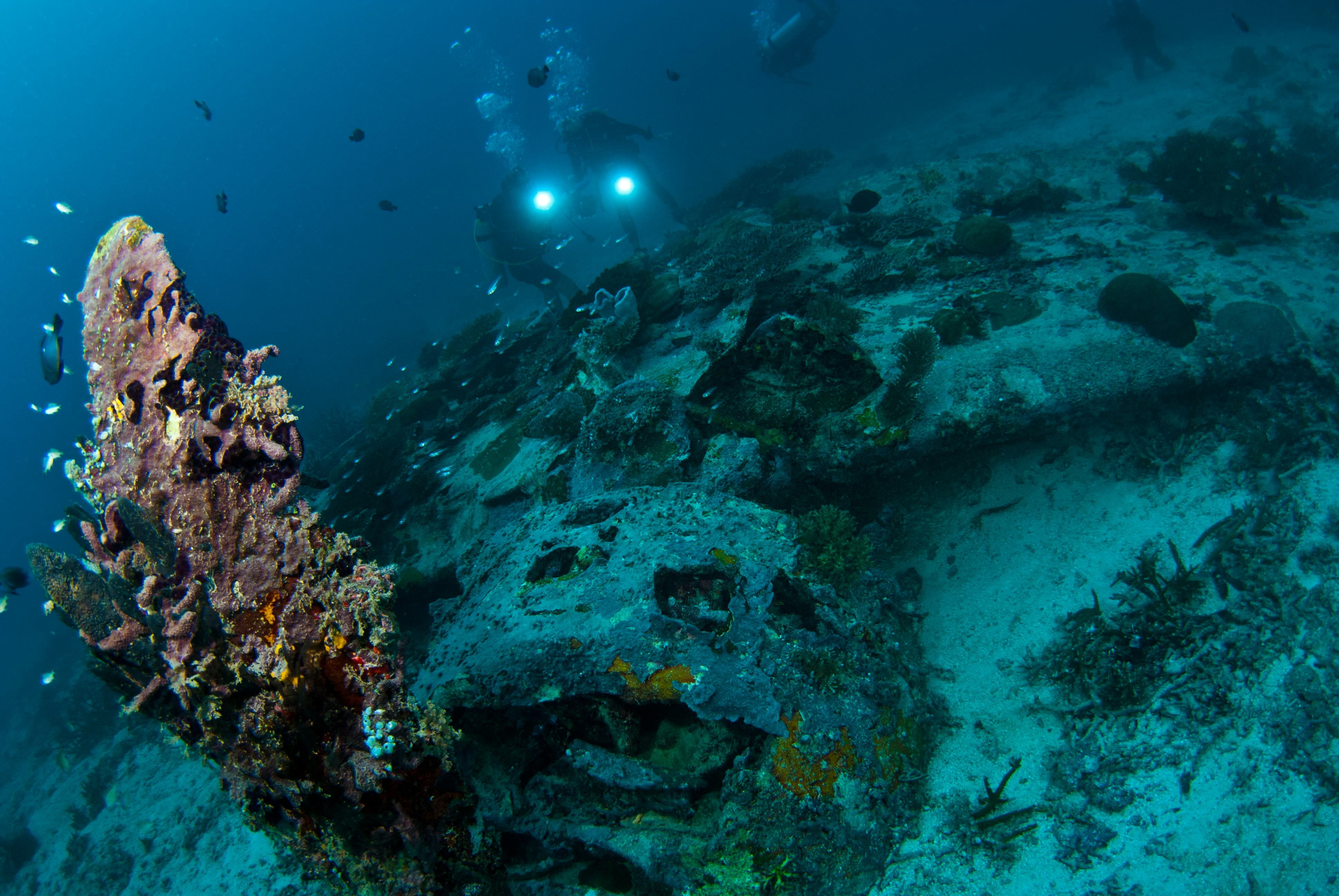 Coral Reefs Could Be Wiped Out By 2100 Scientists Say   6dce3f95 2e4e 4772 85d0 E2f968ad9833 Getty 1206935308 