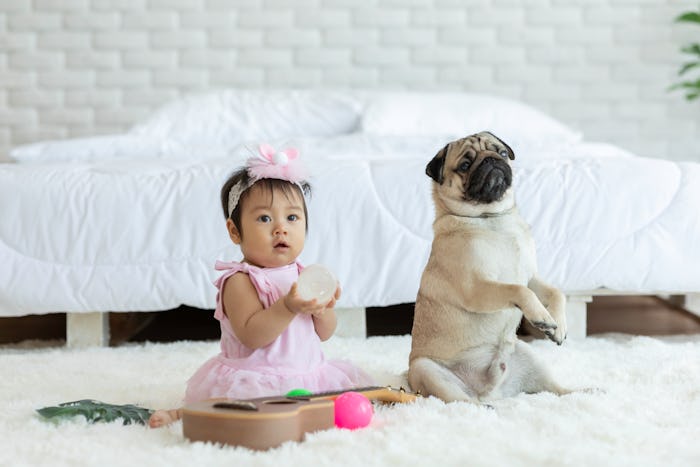 a baby girl and a dog sitting on a carpet