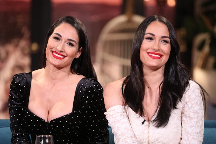 Nikki and Brie Bella didn't plan on getting pregnant at the same time.