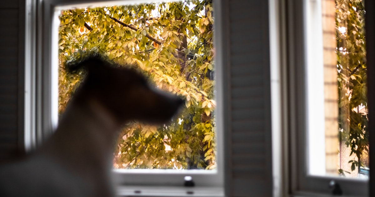 Real Scary Five Great Horror Docs That Prove Fact Is More