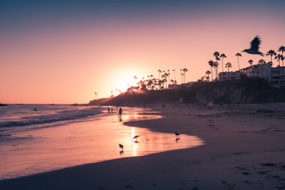 A sunset in Laguna Beach, California turns the sky vibrant shades of pink and purple.