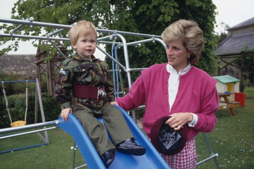 Prince Harry plays on a slide with his mom
