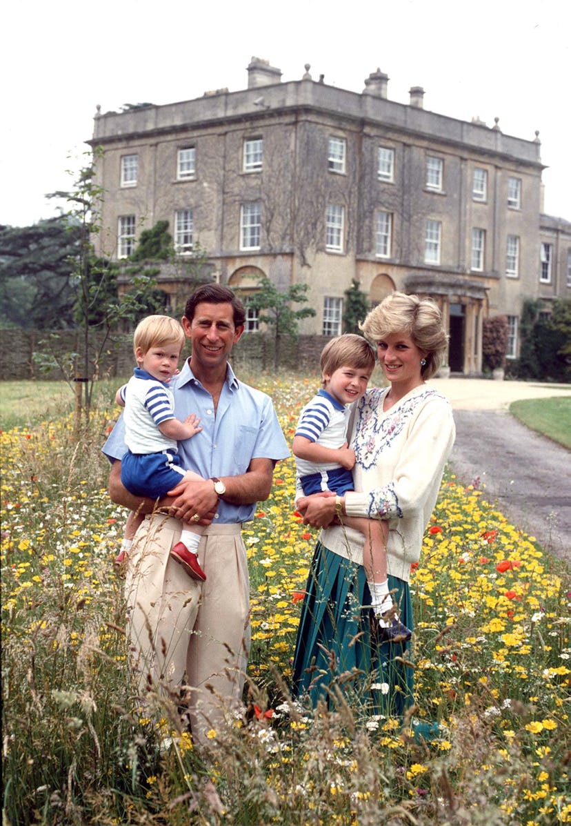 Little Prince Harry and family pose in the flowers