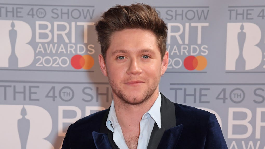 Niall Horan S Story About Meeting Up With Harry Styles Will Make You Smile Niall Horan S Story About Meeting Up With Harry Styles Will Make You Smile