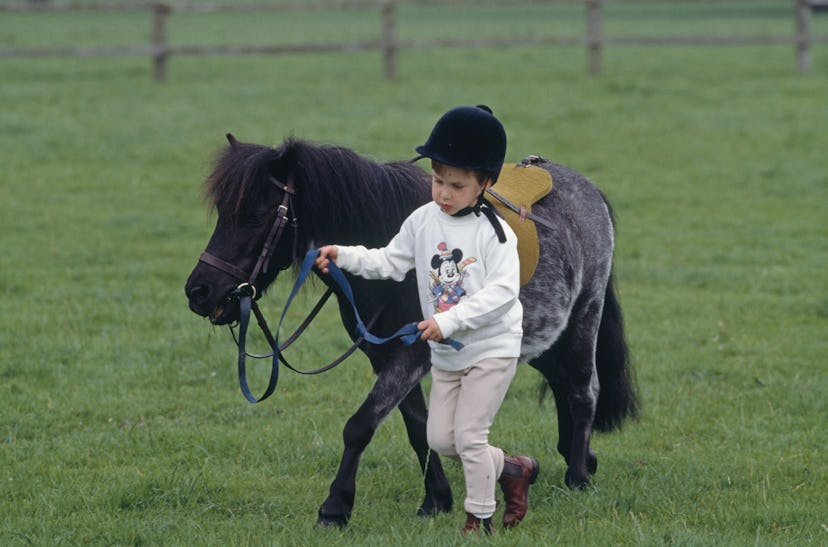 Prince William walks with a pony