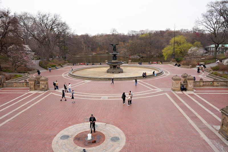 A city park with some groups of people. People who have no symptoms and are doing social distancing ...