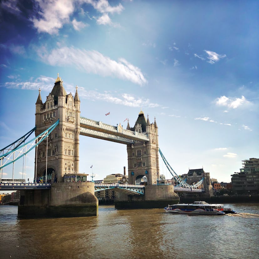 Take a virtual tour of the Tower of London, a zoo, or a museum.