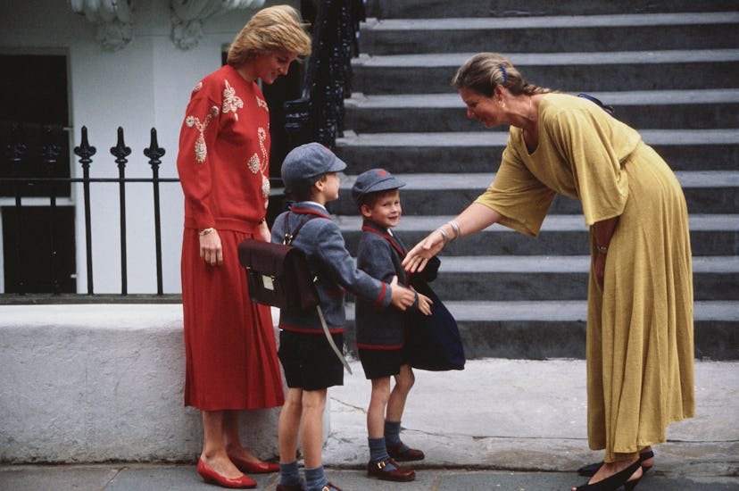 Princess Diana shows off her boys