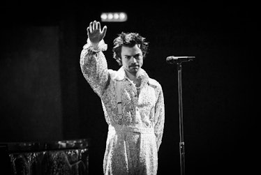 Harry Styles performs live.