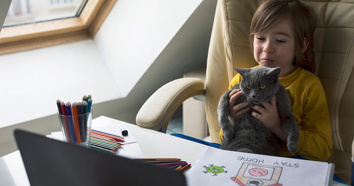 10 April Fools Day Pranks Your Kid Can Play On Their Class On Zoom