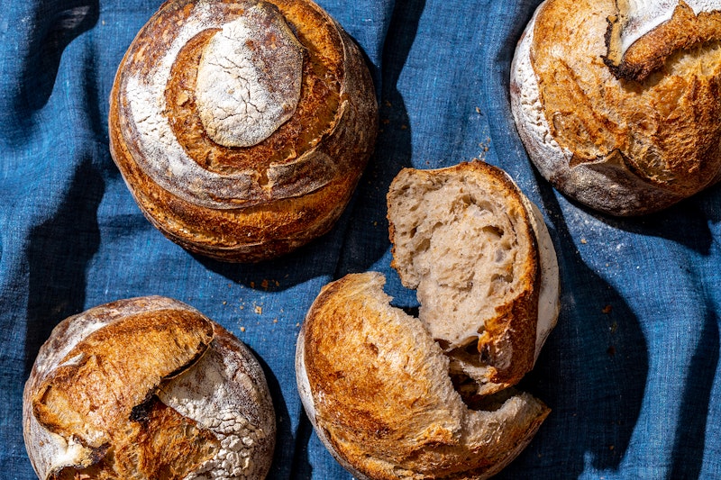 Sourdough bread boules. Sourdough bread is just as healthy as white bread, one study found.