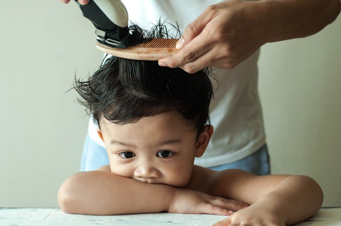 little boy getting his hair cut