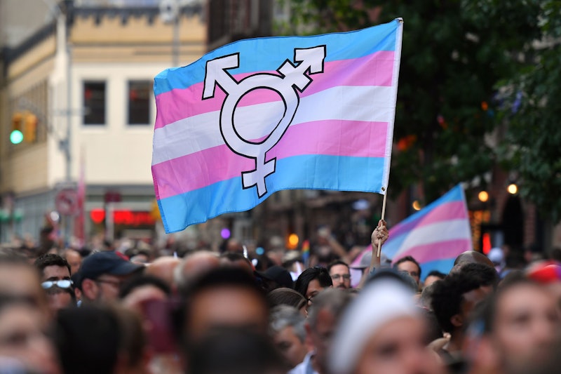 A trans pride flag waving at a march. These statistics prove why transgender day of visibility is so...