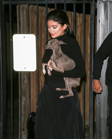Kylie Jenner steps out with her dog.