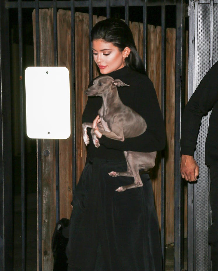 Kylie Jenner steps out with her dog.