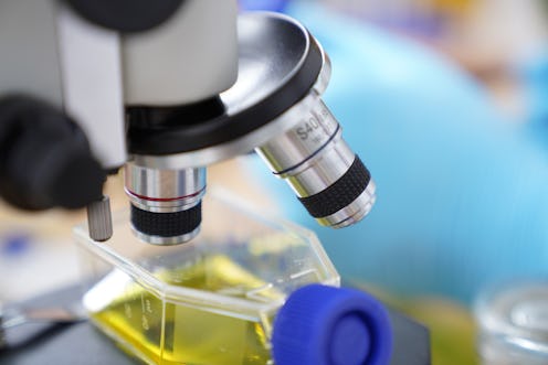 A scientific microscope examines a sample. Scientists around the world are conducting research on de...
